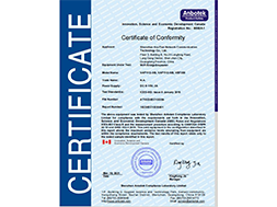 VAP11G-300 ICES Certification  